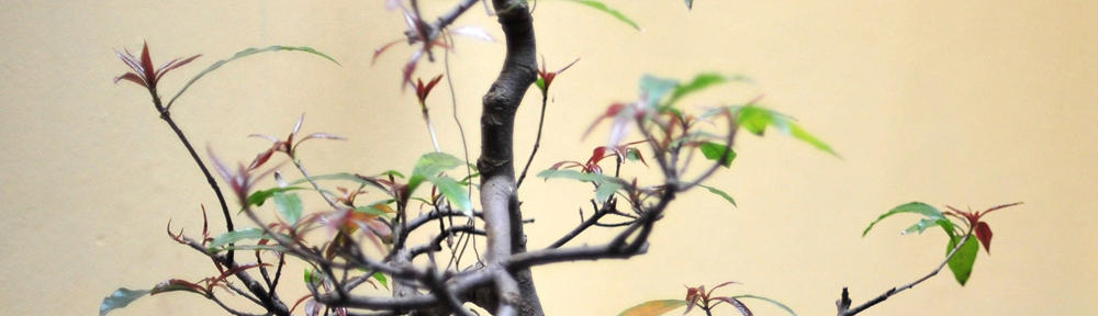 Департамент гуманітарної політики Козятинської міської ради